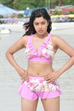 Payal Ghosh (Harika) in Bikini Swimwear Photoshoot on 30th May 2010 (76).JPG